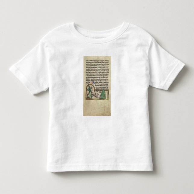 T-shirt Pour Les Tous Petits Page de Roy de texte avec l'illustration de (Devant)