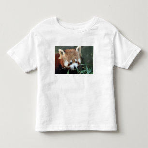 T-shirt Pour Les Tous Petits Panda roux, Taronga Zoo, Sydney, Australie