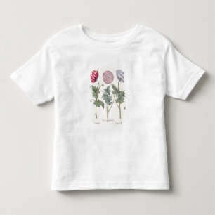 T-shirt Pour Les Tous Petits Pavots : rubicundis multiplex des albumoris