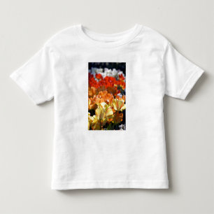 T-shirt Pour Les Tous Petits Pays-Bas aka Hollande), Lisse. Keukenhof