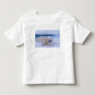 T-shirt Pour Les Tous Petits Phoque de Groenland Amérique du Nord, Canada, Québ
