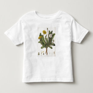 T-shirt Pour Les Tous Petits Pissenlit (gravure de couleur)