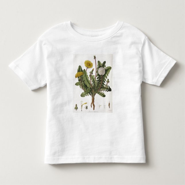 T-shirt Pour Les Tous Petits Pissenlit (gravure de couleur) (Devant)