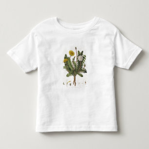 T-shirt Pour Les Tous Petits Pissenlit (gravure de couleur)