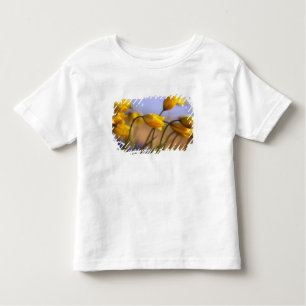 T-shirt Pour Les Tous Petits Plan rapproché des jonquilles