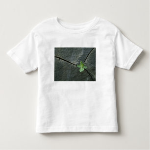 T-shirt Pour Les Tous Petits Plante s'élevant à Boulder criqué