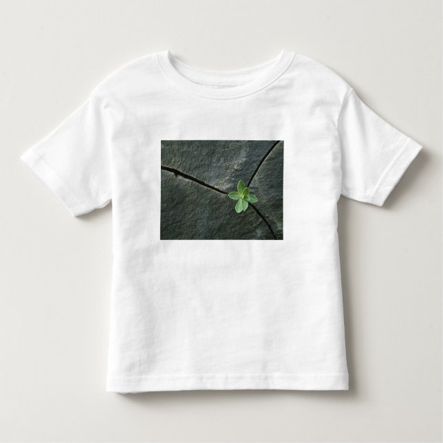 T-shirt Pour Les Tous Petits Plante s'élevant à Boulder criqué (Devant)