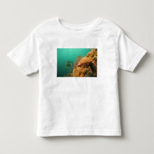 T-shirt Pour Les Tous Petits plongeur & Scorpionfish Scorpanopsis
