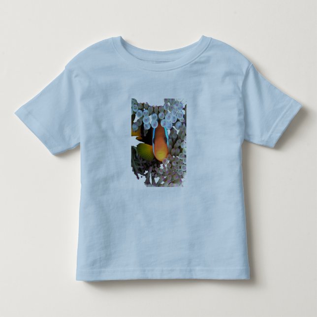 T-shirt Pour Les Tous Petits poissons de clown (Devant)