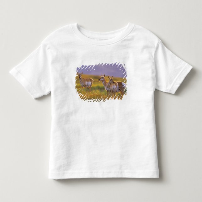 T-shirt Pour Les Tous Petits Pronghorn Antelope dans le Montana (Devant)