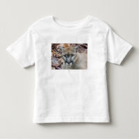 Puma, cougar, panthère de Floride, Puma