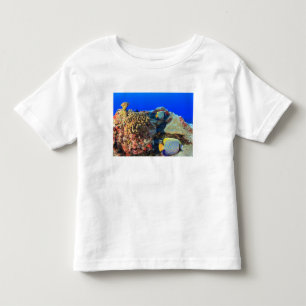 T-shirt Pour Les Tous Petits Pygoplites de l'angélique de Regal (diacanthus)
