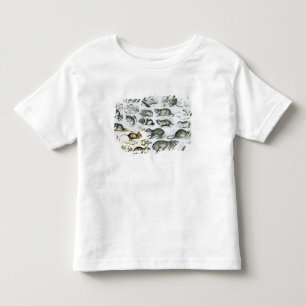 T-shirt Pour Les Tous Petits Rodentia-Rongeurs ou animaux de rongement