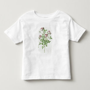 T-shirt Pour Les Tous Petits Rosa Pomponia, des 'roses de Les