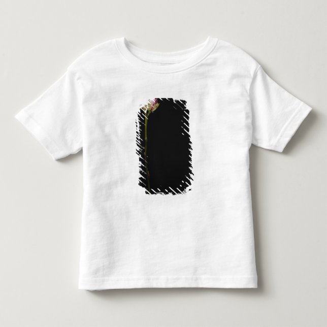 T-shirt Pour Les Tous Petits Rose rose rose 3 (Devant)