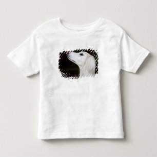 T-shirt Pour Les Tous Petits Saluki recherchant