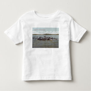 T-shirt Pour Les Tous Petits Scène de régate du Lac Washington