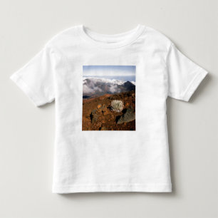 T-shirt Pour Les Tous Petits Silversword sur le bord du cratère Haleakala depui