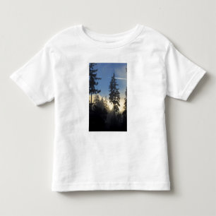 T-shirt Pour Les Tous Petits Stanley Park, bois, couche marine brouillard roula