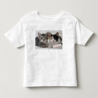 Tasse de chatons de meilleurs amis