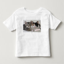 Tasse de chatons de meilleurs amis