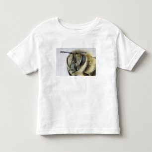T-shirt Pour Les Tous Petits Tête d'abeille
