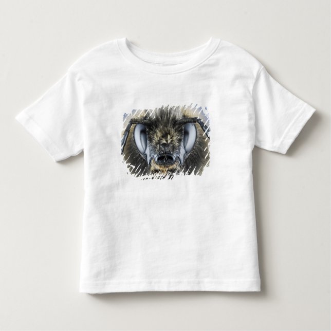 T-shirt Pour Les Tous Petits Tête de bourdon (Devant)