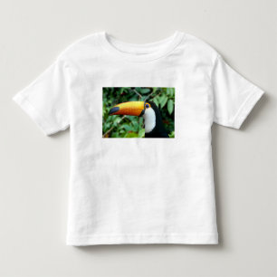 T-shirt Pour Les Tous Petits Toucan à bec jaune
