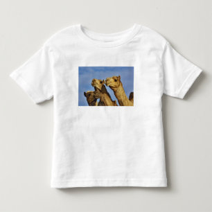 T-shirt Pour Les Tous Petits Trio de chameaux, marché aux chameaux, Le Caire, É