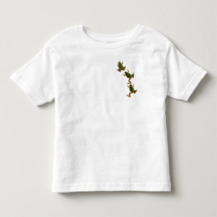 T-shirt Pour Les Tous Petits Trio de grenouilles Escalades