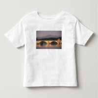UE, France, Provence, Vaucluse, Avignon. Pont