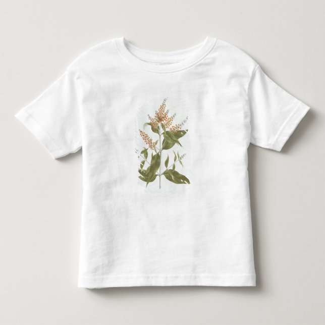 T-shirt Pour Les Tous Petits Umtar (polystachya de buddleia) (la semaine (Devant)