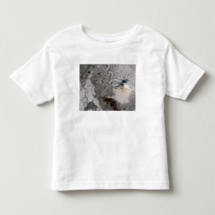 T-shirt Pour Les Tous Petits Un panache riche en cendres monte