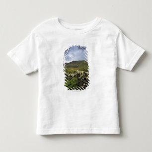 T-shirt Pour Les Tous Petits Une barrière en pierre par des champs