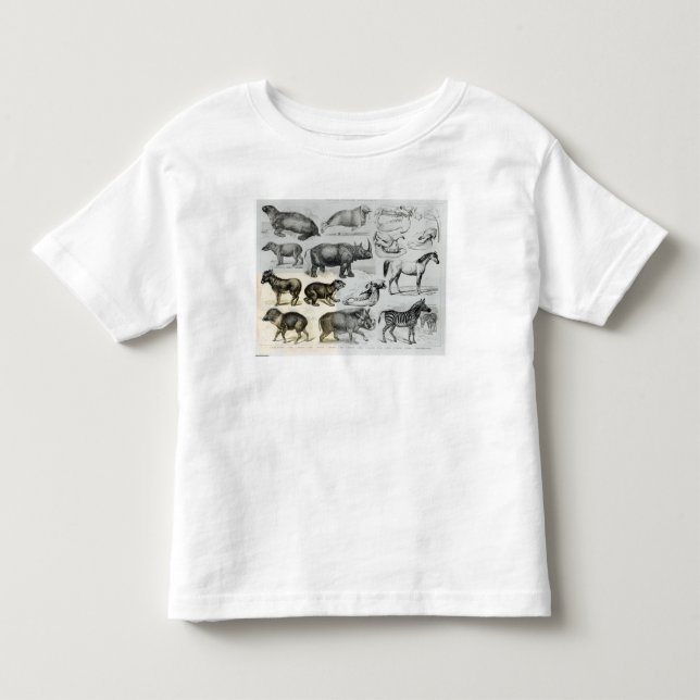 T-shirt Pour Les Tous Petits Ungulata ou animaux à sabots (Devant)
