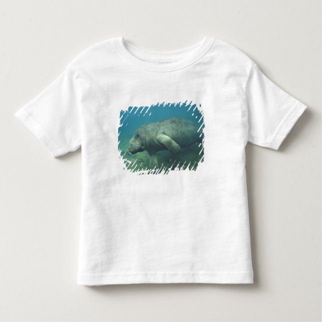 T-shirt Pour Les Tous Petits USA, FL, Manatee (Devant)