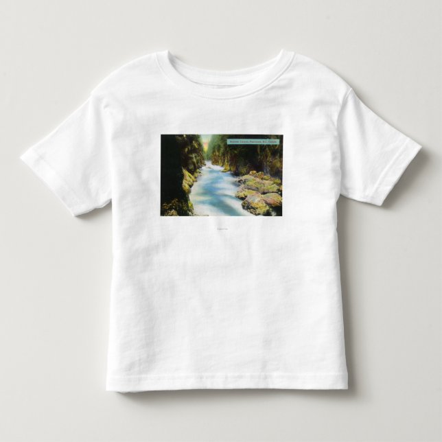 T-shirt Pour Les Tous Petits Vue de canyon de Seymour (Devant)