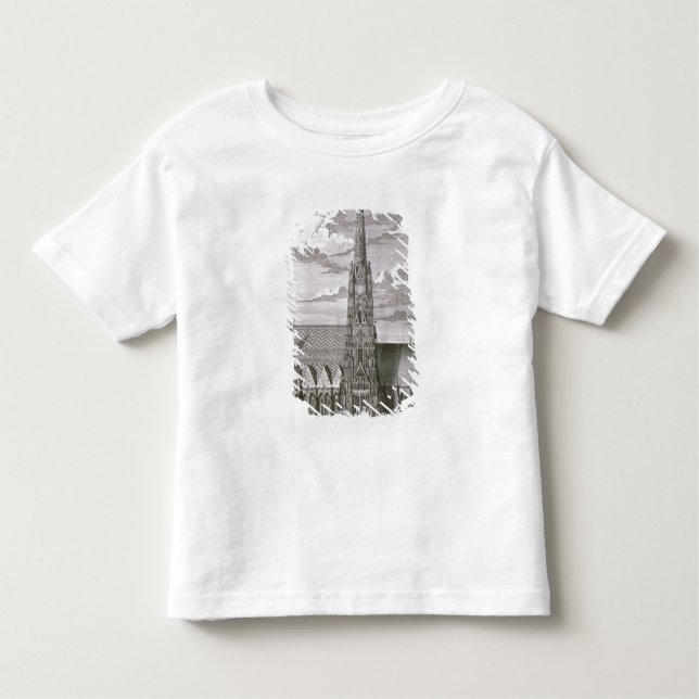 T-shirt Pour Les Tous Petits Vue de cathédrale de St Stephan (Devant)