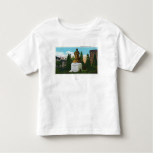 T-shirt Pour Les Tous Petits Vue de statue de Nathaniel Hawthorne