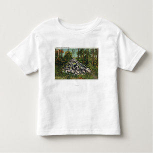 T-shirt Pour Les Tous Petits Vue du cairn de Thoreau