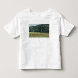 T-shirt Pour Les Tous Petits Vue d'un paquet de pâturage de cerfs communs