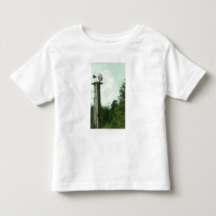 T-shirt Pour Les Tous Petits Vue d'un vent MillEureka, CA de séquoia
