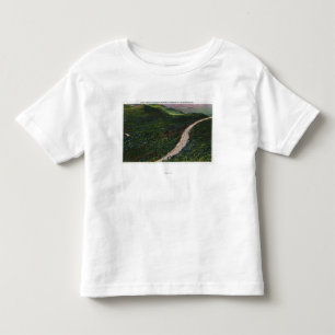 T-shirt Pour Les Tous Petits Vue d'une catégorie raide sur Hwy commémoratif