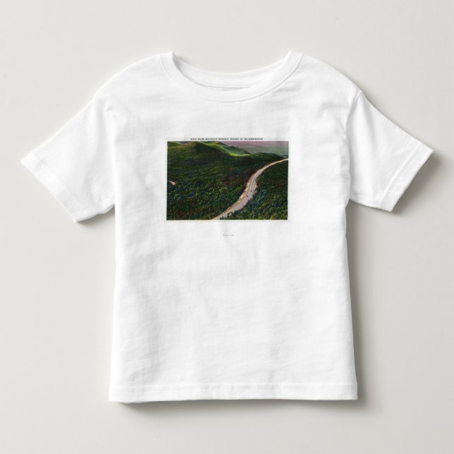 T-shirt Pour Les Tous Petits Vue d'une catégorie raide sur Hwy commémoratif (Devant)
