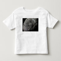 Vue fausse couleur de la lune de Saturne Hyperion