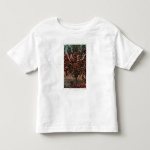 T-shirt Pour Les Tous Petits Wenatchee, pommier de vallée de WAA Wenatchee