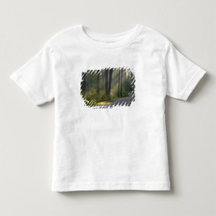 T-shirt Pour Les Tous Petits Wilderness Drive, parc d'État d'Itasca,
