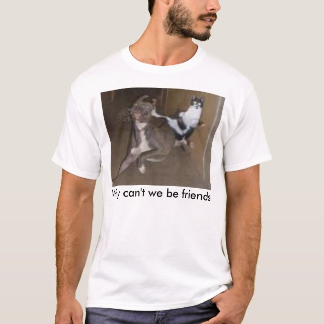 T-shirt Pourquoi ne pouvons pas nous être des amis (Devant)