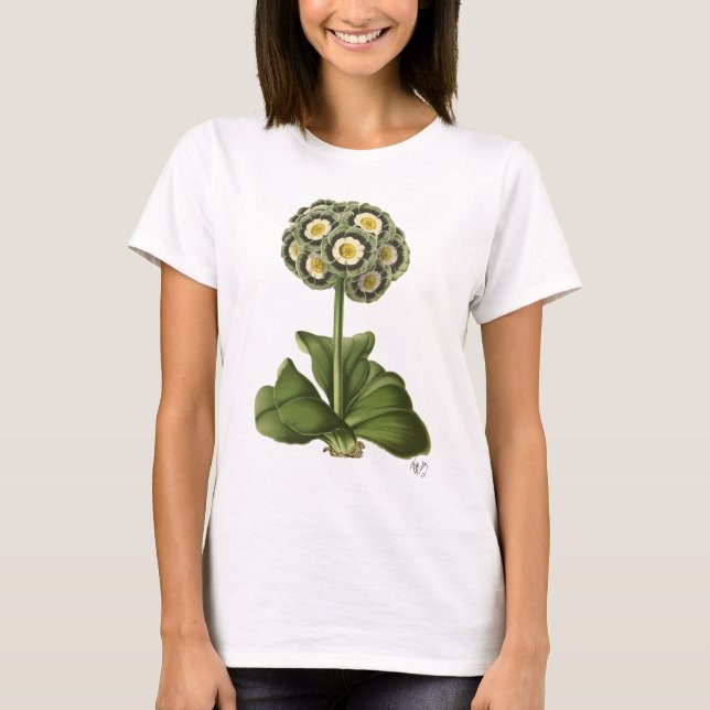 T-shirt Primula Auraria Bleu (Devant)