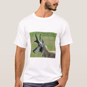 T-shirt Profil de tête de grand buck d'antilope Pronghorn 